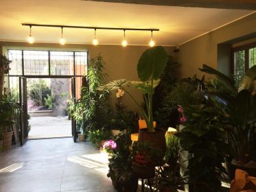 Showroom green in Tortona