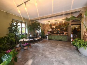 Showroom green in Tortona