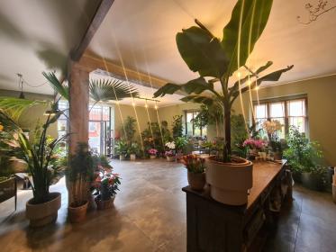 Showroom green in Tortona