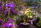 Giardino segreto di Milano