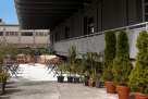 Nuovo open space industriale in Mecenate