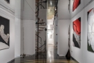 Spazio Arte in Brera Milano